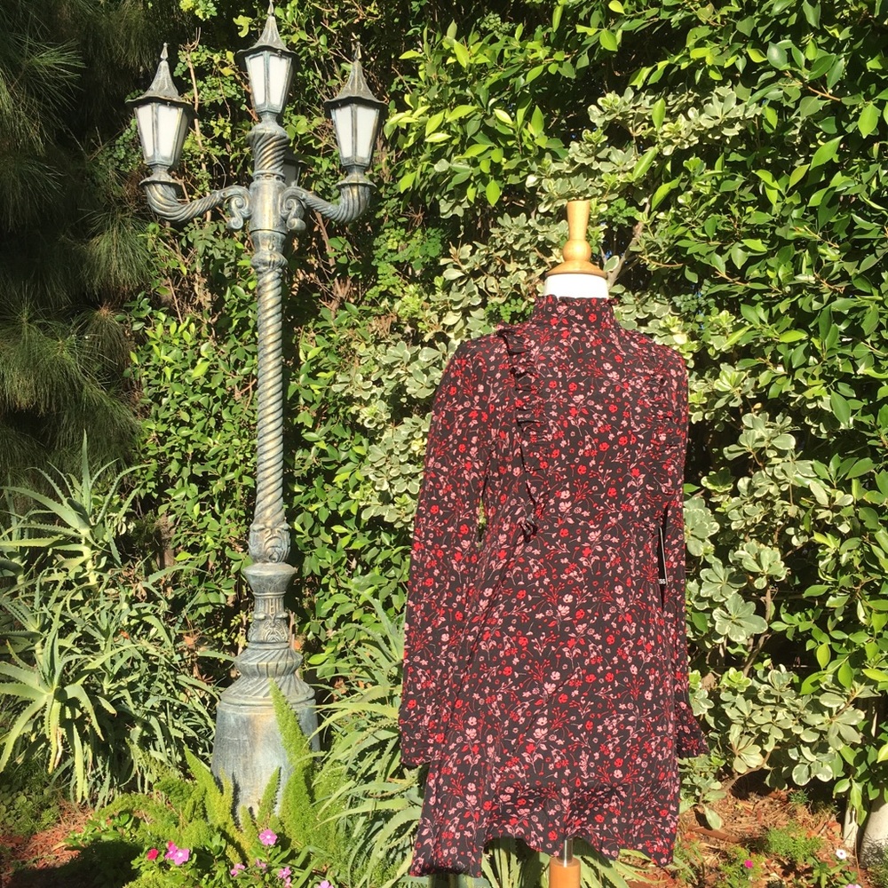 Express Long Sleeve Dress